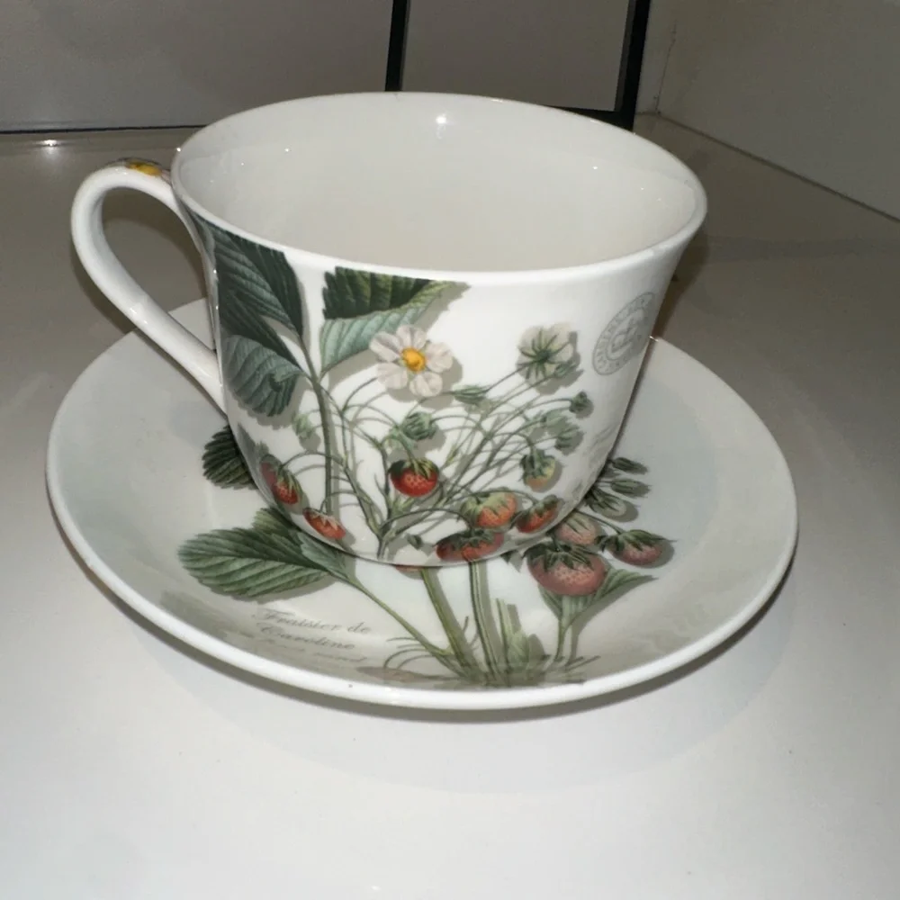 Royal Botanic Gardens Kew Wild Strawberry Fayre Fine China  Tea Cup Mug & Saucer